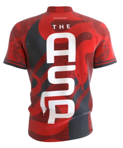 Target - Nathan Aspinall - 2025 Playing Shirt (SEE DESCRIPTION)
