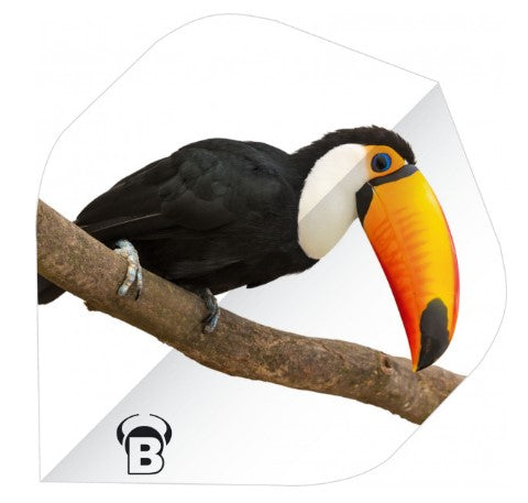 BULL'S DE - Motex Flights - Toucan